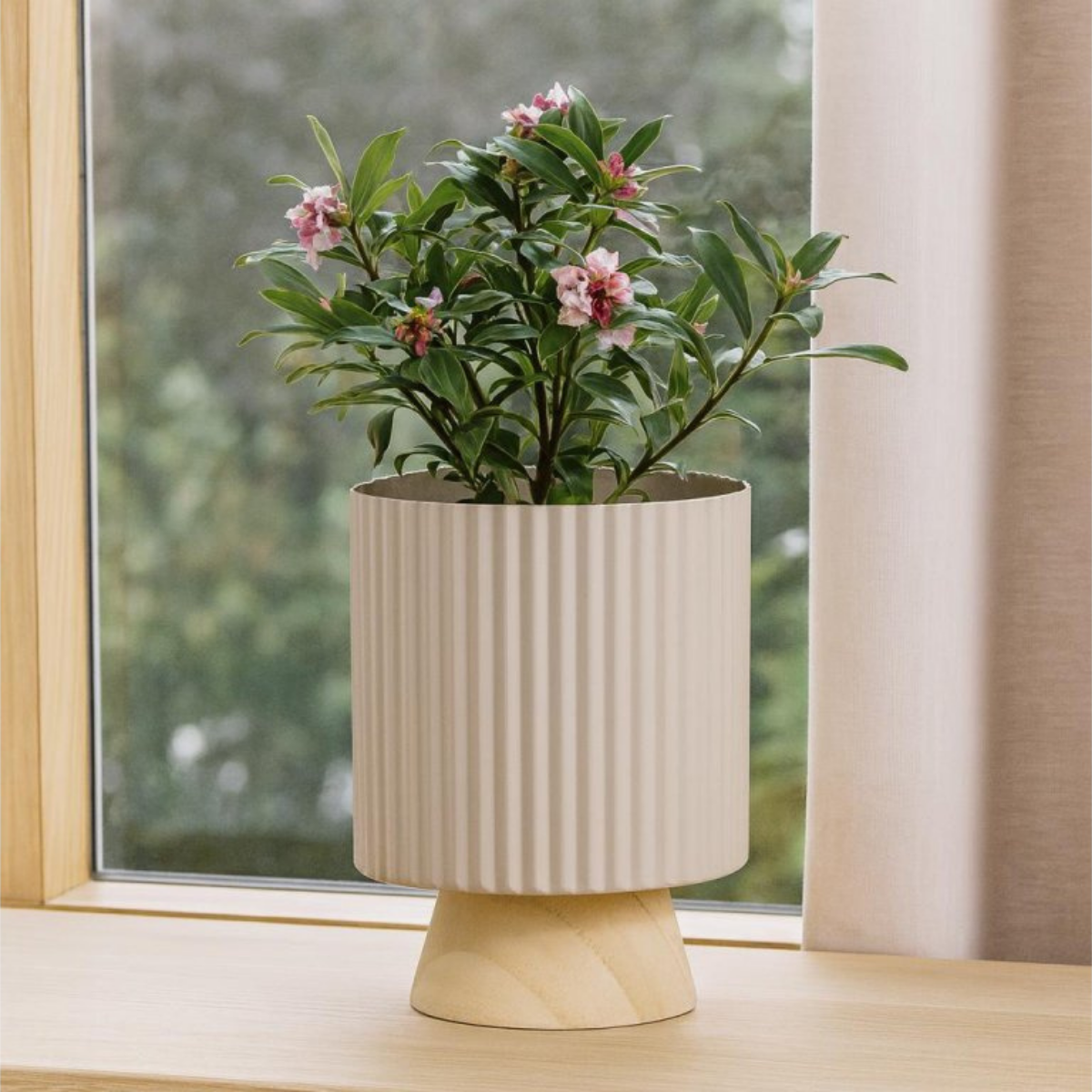 aranzacje produktow CZ - 2026-03-01T200407.584